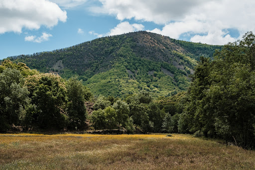 LÃND — ARTISTIC RESIDENCY — 17